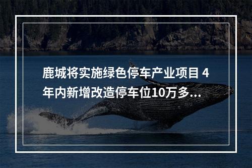 鹿城将实施绿色停车产业项目 4年内新增改造停车位10万多个