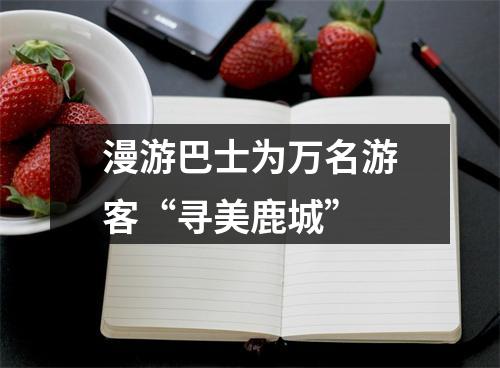 漫游巴士为万名游客“寻美鹿城”