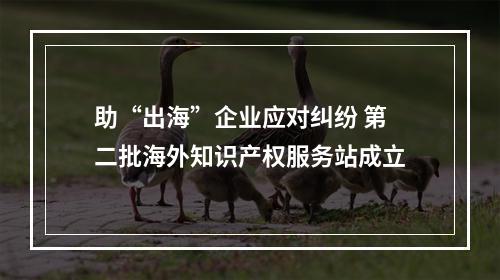 助“出海”企业应对纠纷 第二批海外知识产权服务站成立