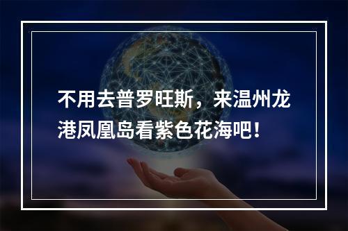 不用去普罗旺斯，来温州龙港凤凰岛看紫色花海吧！