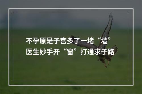 不孕原是子宫多了一堵“墙” 医生妙手开“窗”打通求子路
