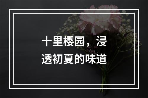 十里樱园，浸透初夏的味道