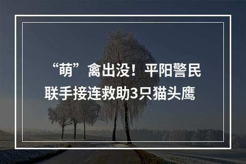 “萌”禽出没！平阳警民联手接连救助3只猫头鹰