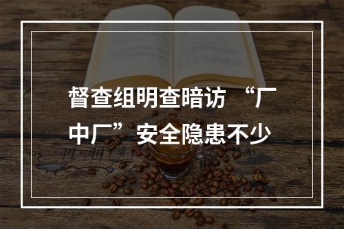 督查组明查暗访 “厂中厂”安全隐患不少