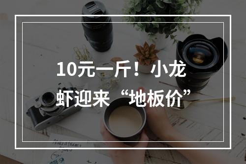 10元一斤！小龙虾迎来“地板价”