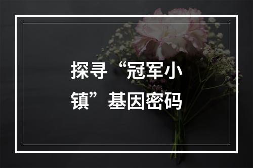 探寻“冠军小镇”基因密码