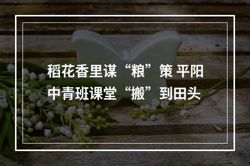 稻花香里谋“粮”策 平阳中青班课堂“搬”到田头