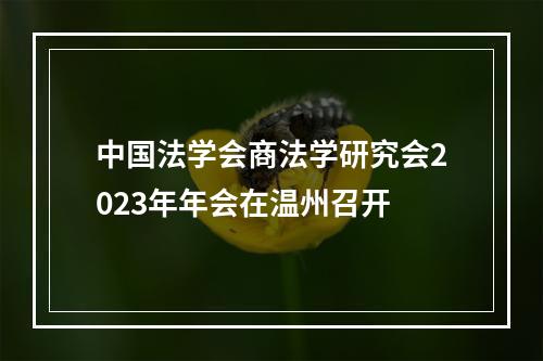 中国法学会商法学研究会2023年年会在温州召开