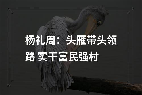 杨礼周：头雁带头领路 实干富民强村