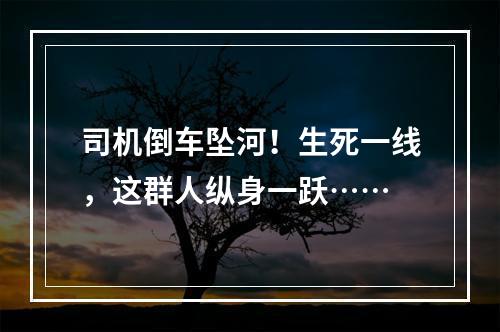 司机倒车坠河！生死一线，这群人纵身一跃……