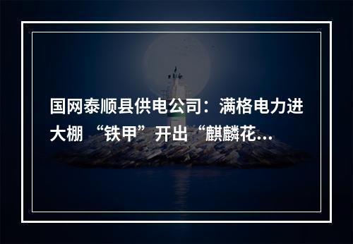 国网泰顺县供电公司：满格电力进大棚 “铁甲”开出“麒麟花”