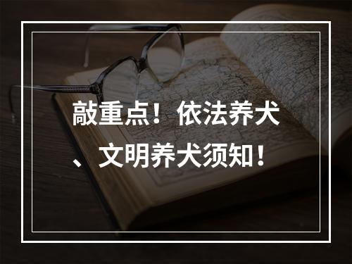敲重点！依法养犬、文明养犬须知！