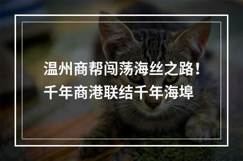 温州商帮闯荡海丝之路！千年商港联结千年海埠