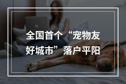 全国首个“宠物友好城市”落户平阳