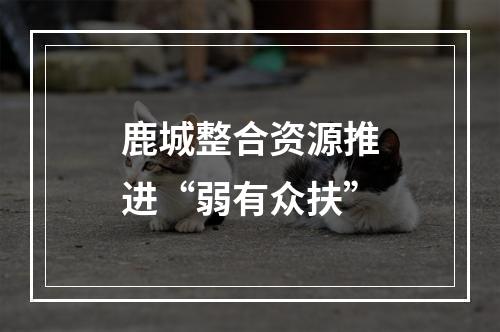 鹿城整合资源推进“弱有众扶”