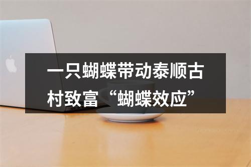 一只蝴蝶带动泰顺古村致富“蝴蝶效应”