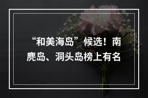 “和美海岛”候选！南麂岛、洞头岛榜上有名
