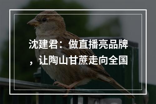 沈建君：做直播亮品牌，让陶山甘蔗走向全国