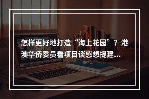 怎样更好地打造“海上花园”？港澳华侨委员看项目谈感想提建议