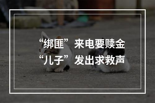 “绑匪”来电要赎金 “儿子”发出求救声