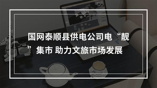 国网泰顺县供电公司电“靓”集市 助力文旅市场发展
