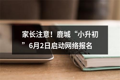 家长注意！鹿城“小升初”6月2日启动网络报名