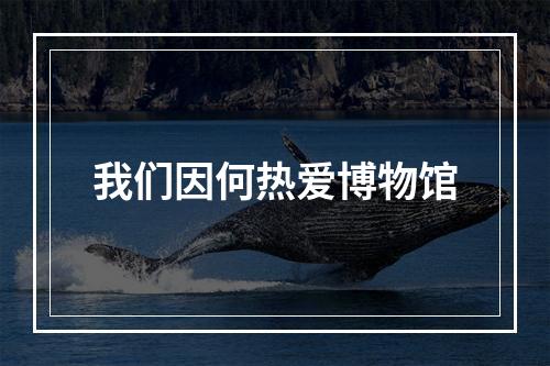 我们因何热爱博物馆