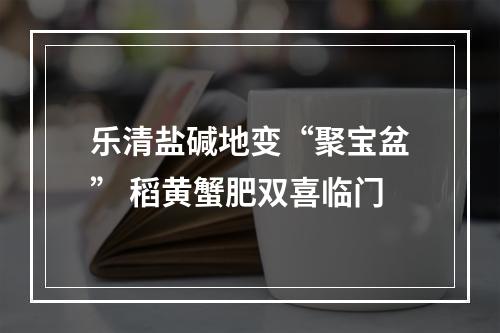 乐清盐碱地变“聚宝盆” 稻黄蟹肥双喜临门