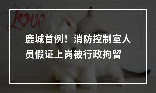 鹿城首例！消防控制室人员假证上岗被行政拘留