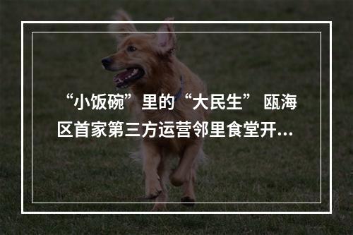 “小饭碗”里的“大民生” 瓯海区首家第三方运营邻里食堂开业