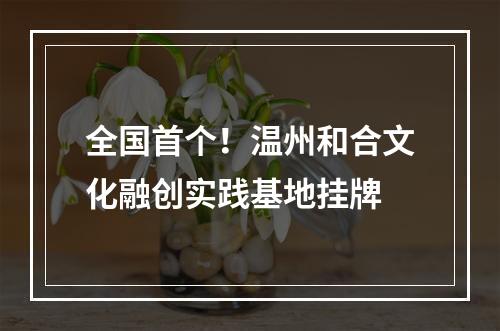 全国首个！温州和合文化融创实践基地挂牌