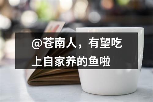 @苍南人，有望吃上自家养的鱼啦