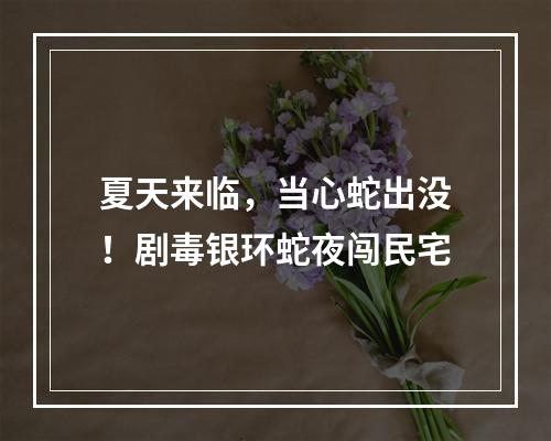 夏天来临，当心蛇出没！剧毒银环蛇夜闯民宅