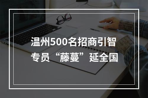 温州500名招商引智专员“藤蔓”延全国