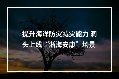提升海洋防灾减灾能力 洞头上线“浙海安康”场景