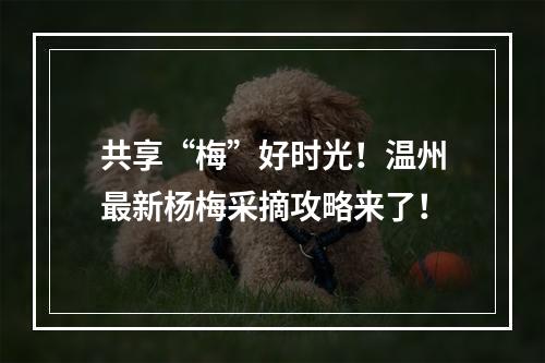 共享“梅”好时光！温州最新杨梅采摘攻略来了！