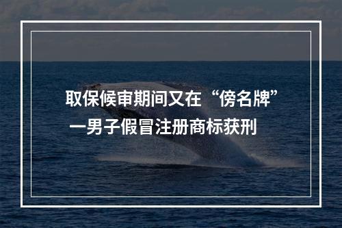 取保候审期间又在“傍名牌” 一男子假冒注册商标获刑