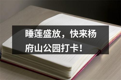 睡莲盛放，快来杨府山公园打卡！