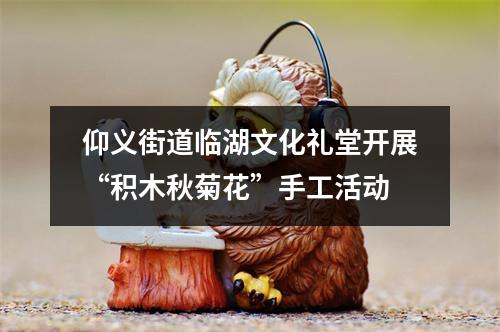 仰义街道临湖文化礼堂开展“积木秋菊花”手工活动