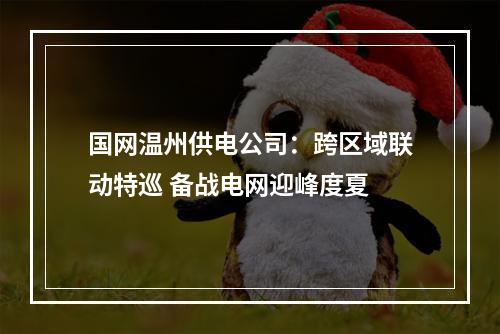国网温州供电公司：跨区域联动特巡 备战电网迎峰度夏