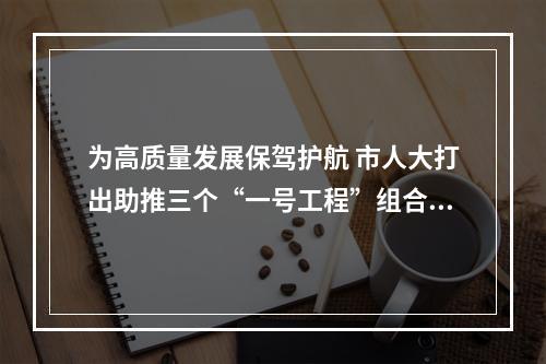 为高质量发展保驾护航 市人大打出助推三个“一号工程”组合拳