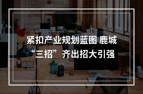 紧扣产业规划蓝图 鹿城“三招”齐出招大引强
