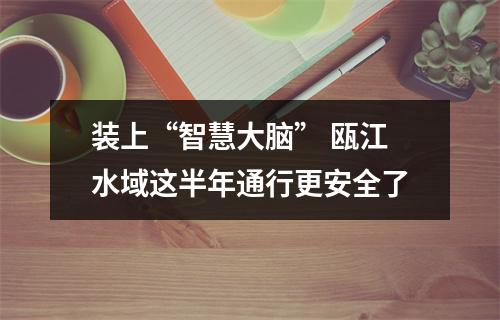 装上“智慧大脑” 瓯江水域这半年通行更安全了