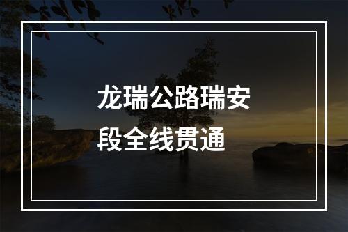 龙瑞公路瑞安段全线贯通