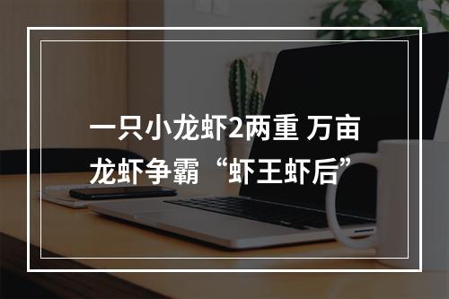 一只小龙虾2两重 万亩龙虾争霸“虾王虾后”