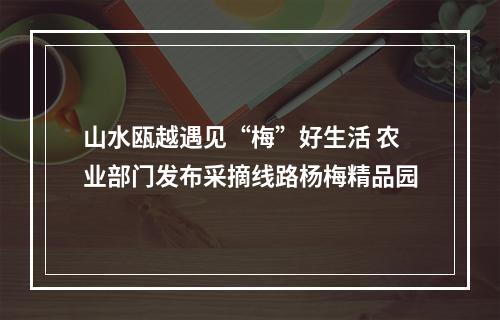山水瓯越遇见“梅”好生活 农业部门发布采摘线路杨梅精品园
