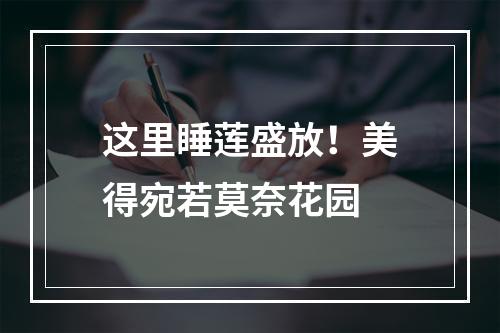 这里睡莲盛放！美得宛若莫奈花园