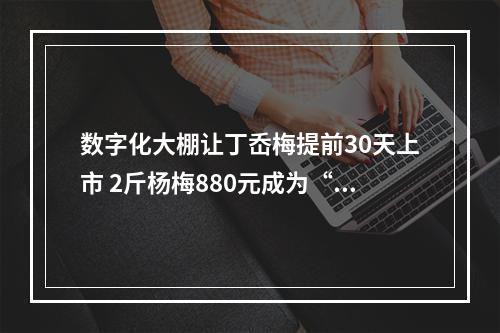 数字化大棚让丁岙梅提前30天上市 2斤杨梅880元成为“浙江第一拍”