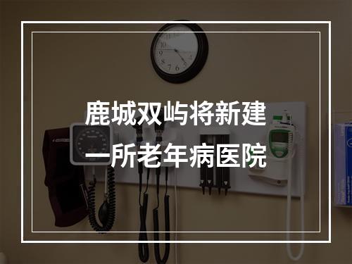 鹿城双屿将新建一所老年病医院