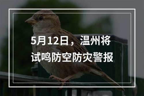 5月12日，温州将试鸣防空防灾警报